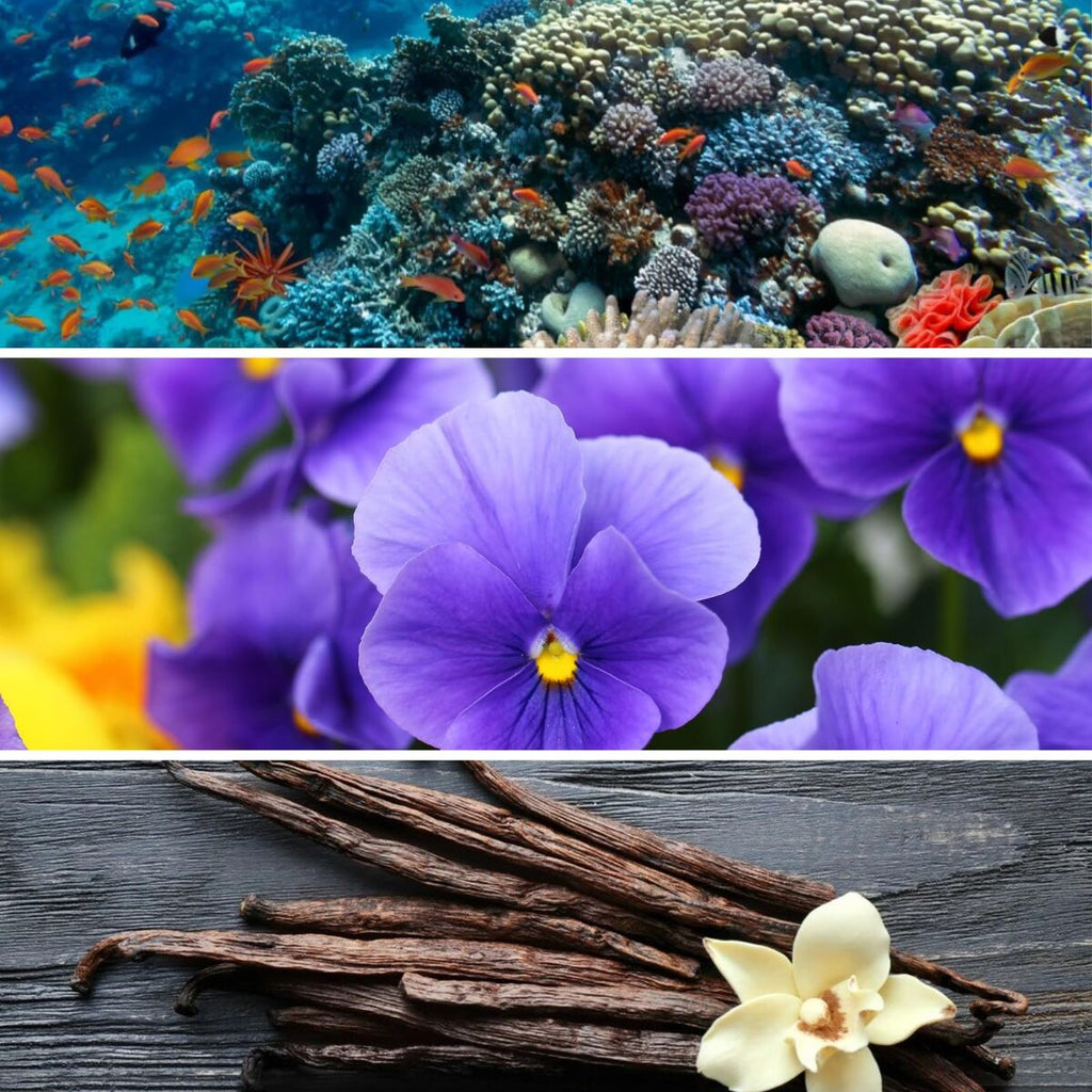 V1HCC31F2C2CC7EF8AFBFDFB490AA9D70D4RP3