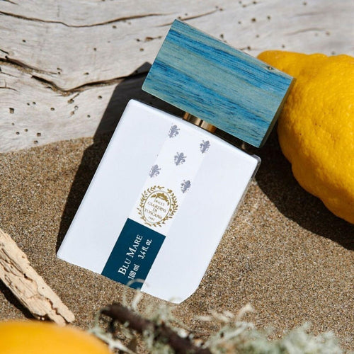 V1HF9155B6248208DC9BD0EC21BBD41331ERP2