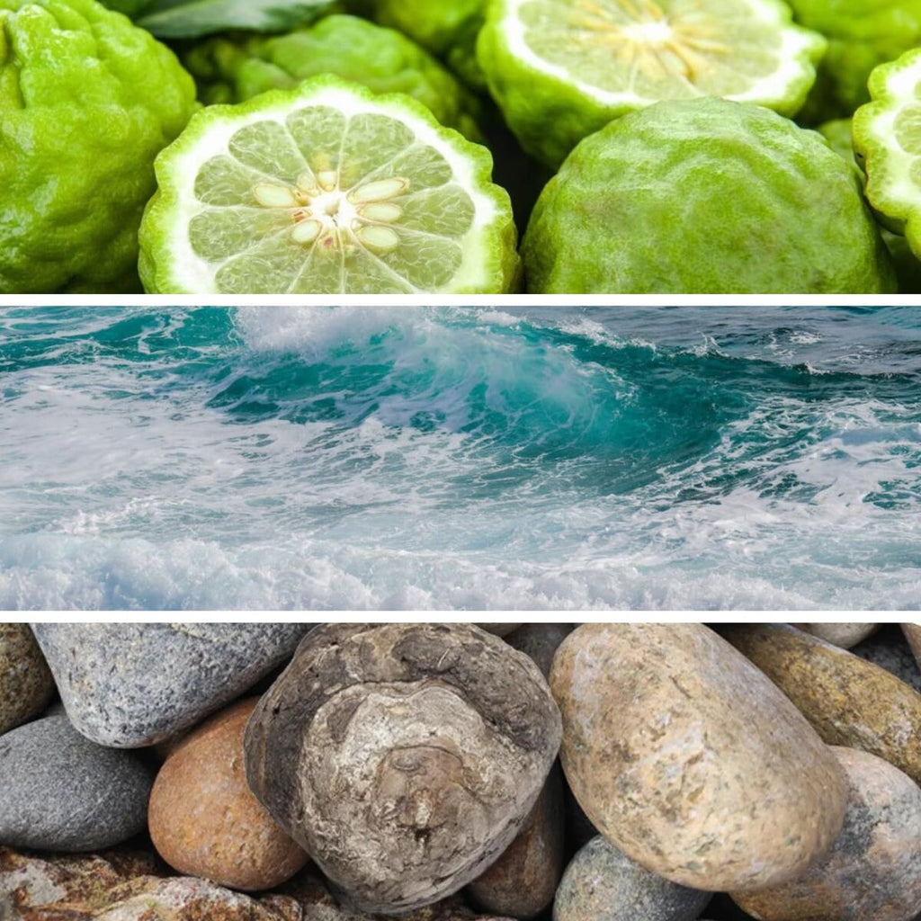 V1H94CE059243930307592C9E1A8A453FADRP3